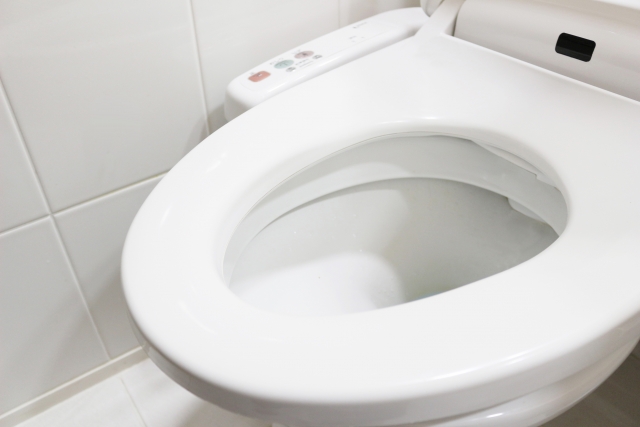 トイレの尿石を重曹やクエン酸で除去！トイレつまりを薬剤で落とそう